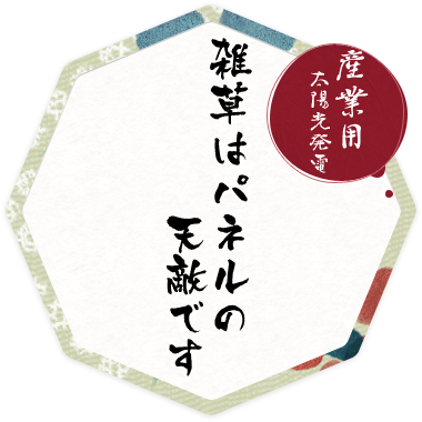 【産業用】雑草はパネルの天敵です